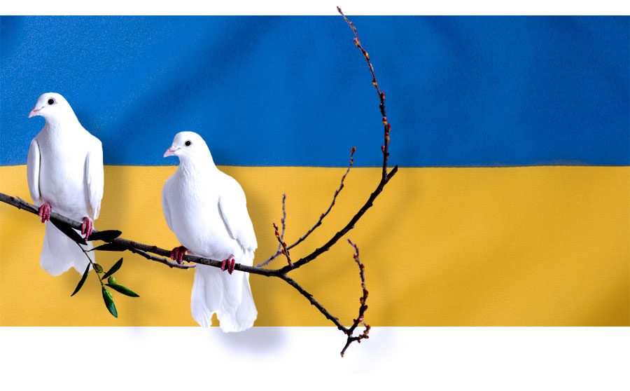 fredsduva och ukrainas flagga