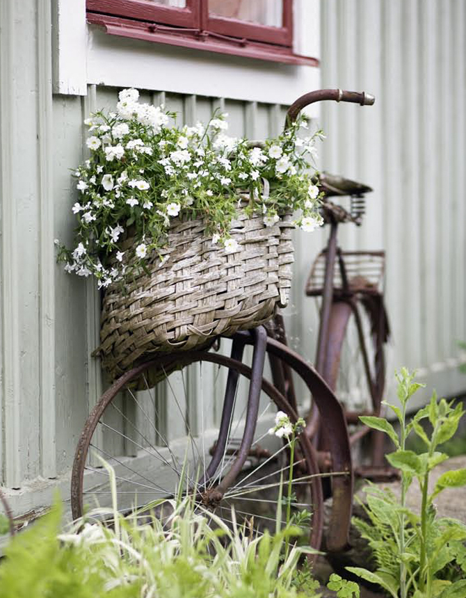 Cykel i trädgård