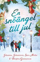 En snöängel till jul av Johanna Johansson, Sara Molin, Birgitta Gunnarson