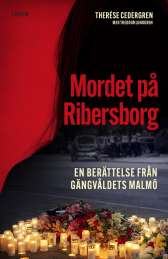 Mordet på Ribersborg : en berättelse från gängvåldets Malmö av Therése Cedergren, Theodor Lundgren